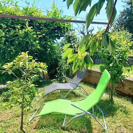 Rubin Daire Ika Dış mekan fotoğraf